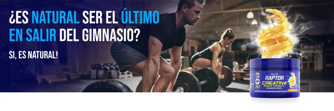 Carrusel raptor Carrusel raptor