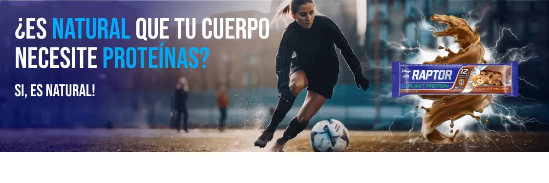 Carrusel raptor Carrusel raptor