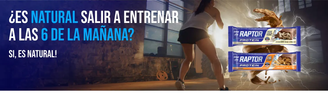 Carrusel raptor Carrusel raptor